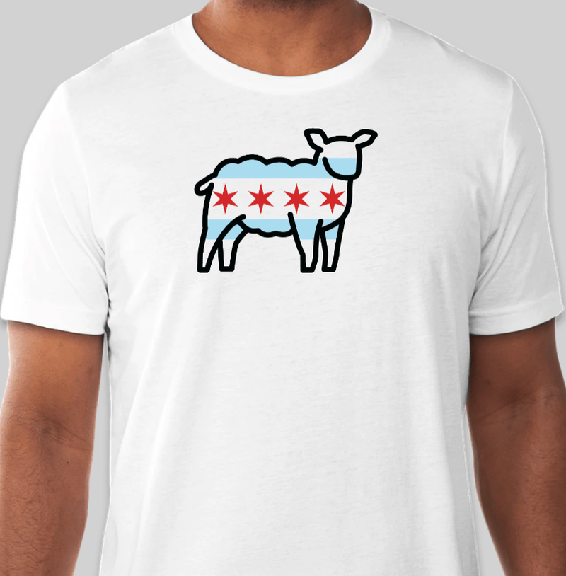 Chicago Flag - 100% Cotton T-Shirt 